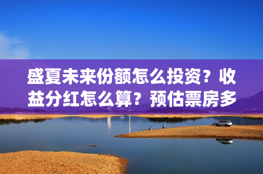 盛夏未来份额怎么投资？收益分红怎么算？预估票房多少？(盛夏未来总投资)