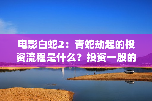 电影白蛇2：青蛇劫起的投资流程是什么？投资一股的收益率是多少？(电影白蛇2:青蛇劫起的法海有用法器吗?)