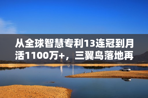 从全球智慧专利13连冠到月活1100万+，三翼鸟落地再加速