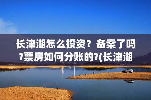 长津湖怎么投资？备案了吗?票房如何分账的?(长津湖投资收益有多少)