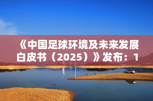 《中国足球环境及未来发展白皮书（2025）》发布：100吋大屏电视成标配