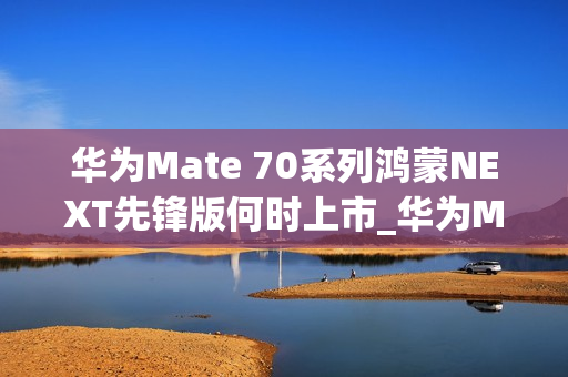华为Mate 70系列鸿蒙NEXT先锋版何时上市_华为Mate 70系列鸿蒙NEXT先锋版上市情况