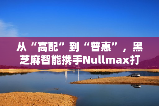 从“高配”到“普惠”，黑芝麻智能携手Nullmax打造辅助驾驶主流量产方案
