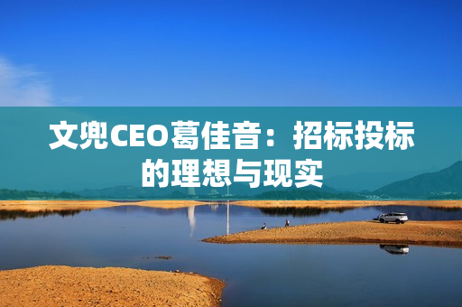 文兜CEO葛佳音:招标投标的理想与现实 文兜CEO葛佳音:招标投标的理想与现实