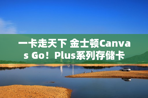 一卡走天下 金士顿Canvas Go！Plus系列存储卡