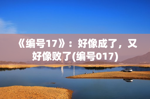 《编号17》：好像成了，又好像败了(编号017)