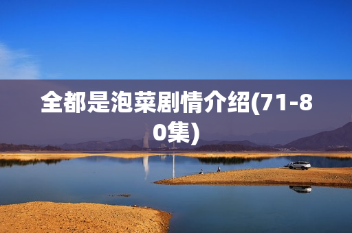 全都是泡菜剧情介绍(71-80集)