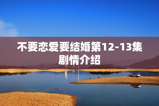 不要恋爱要结婚第12-13集剧情介绍