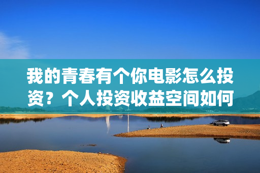我的青春有个你电影怎么投资？个人投资收益空间如何？(我的青春有个你结局)