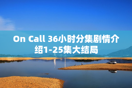 On Call 36小时分集剧情介绍1-25集大结局