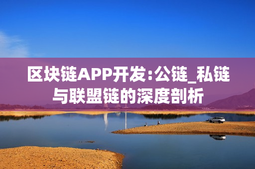 区块链APP开发:公链_私链与联盟链的深度剖析