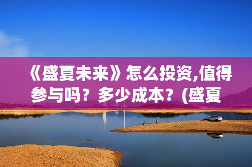 《盛夏未来》怎么投资,值得参与吗？多少成本？(盛夏未来ts)