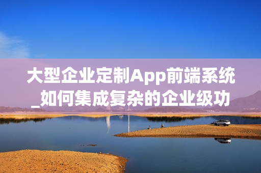 大型企业定制App前端系统_如何集成复杂的企业级功能