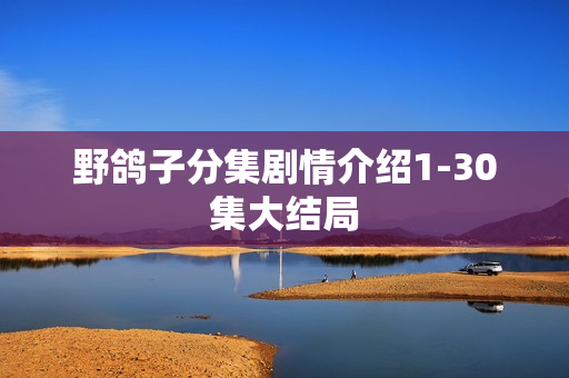 野鸽子分集剧情介绍1-30集大结局