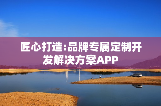 匠心打造:品牌专属定制开发解决方案APP