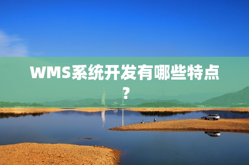 WMS系统开发有哪些特点？