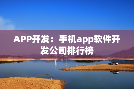 APP开发：手机app软件开发公司排行榜