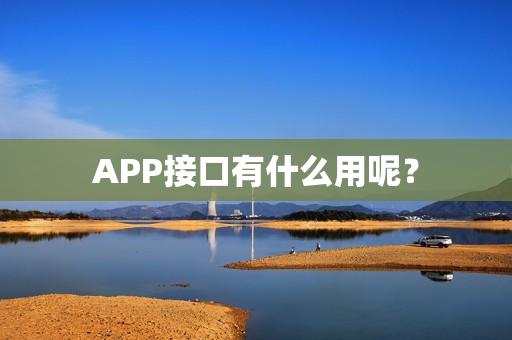 APP接口有什么用呢？