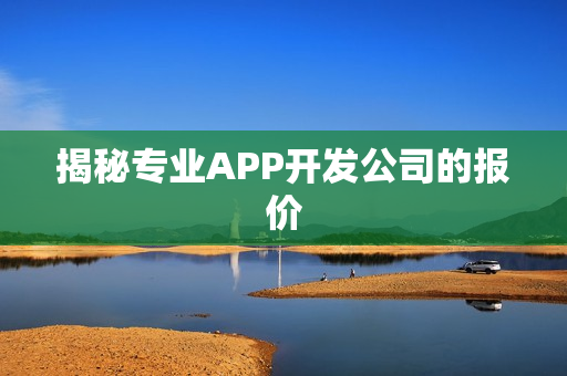 揭秘专业APP开发公司的报价