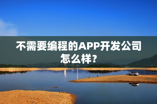 不需要编程的APP开发公司怎么样？