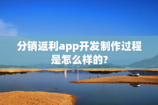 分销返利app开发制作过程是怎么样的?