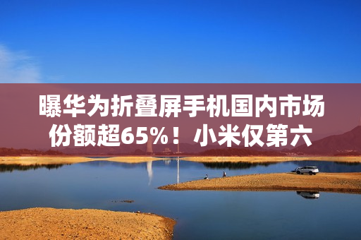 曝华为折叠屏手机国内市场份额超65%！小米仅第六