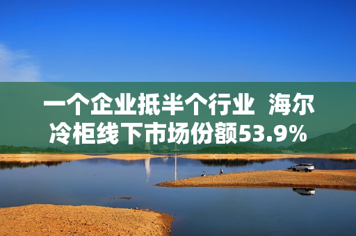 一个企业抵半个行业  海尔冷柜线下市场份额53.9%