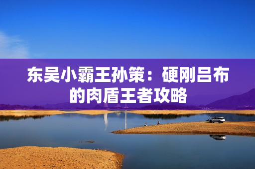 东吴小霸王孙策：硬刚吕布的肉盾王者攻略
