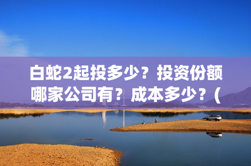 白蛇2起投多少？投资份额哪家公司有？成本多少？(白蛇2耗资)