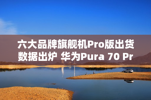 六大品牌旗舰机Pro版出货数据出炉 华为Pura 70 Pro第二