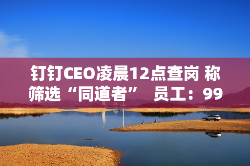 钉钉CEO凌晨12点查岗 称筛选“同道者”  员工：99%的人离职都是因为他
