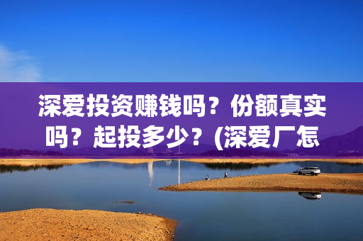 深爱投资赚钱吗？份额真实吗？起投多少？(深爱厂怎么样)