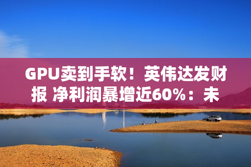 GPU卖到手软！英伟达发财报 净利润暴增近60%：未向中国客户销售H20