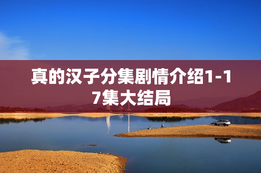 真的汉子分集剧情介绍1-17集大结局