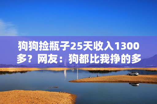 狗狗捡瓶子25天收入1300多？网友：狗都比我挣的多