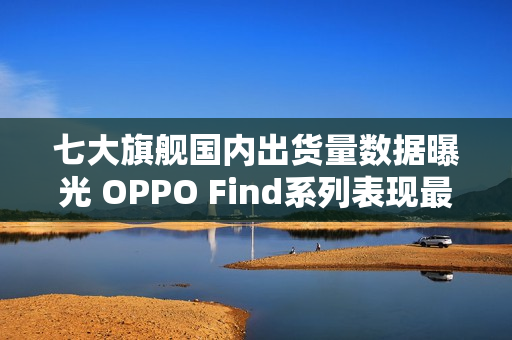 七大旗舰国内出货量数据曝光 OPPO Find系列表现最佳