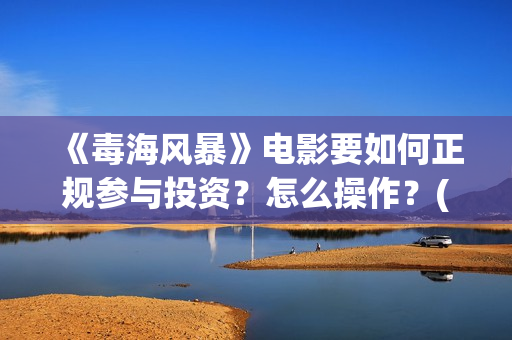 《毒海风暴》电影要如何正规参与投资？怎么操作？(毒海风暴有哪几个公司参与)