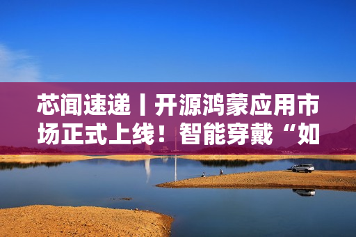 芯闻速递丨开源鸿蒙应用市场正式上线！智能穿戴“如鱼得水”
