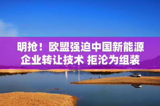 明抢！欧盟强迫中国新能源企业转让技术 拒沦为组装厂：我国升级技术出口限制