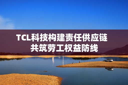 TCL科技构建责任供应链 共筑劳工权益防线 TCL科技构建责任供应链 共筑劳工权益防线