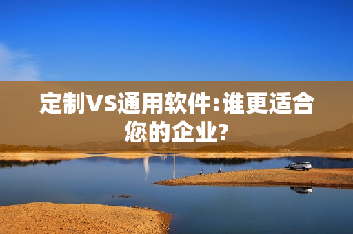 定制VS通用软件:谁更适合您的企业?