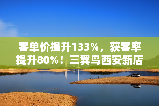 客单价提升133%，获客率提升80%！三翼鸟西安新店一年盘点