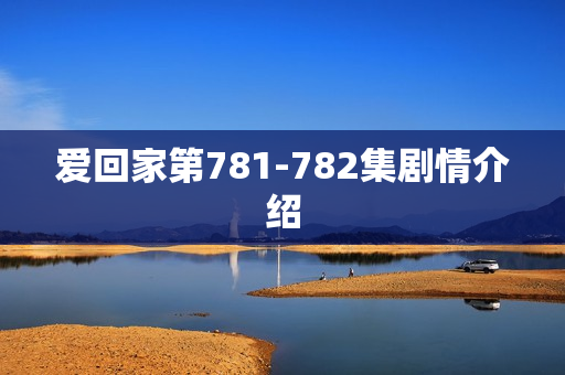 爱回家第781-782集剧情介绍