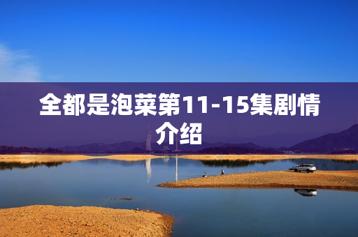 全都是泡菜第11-15集剧情介绍