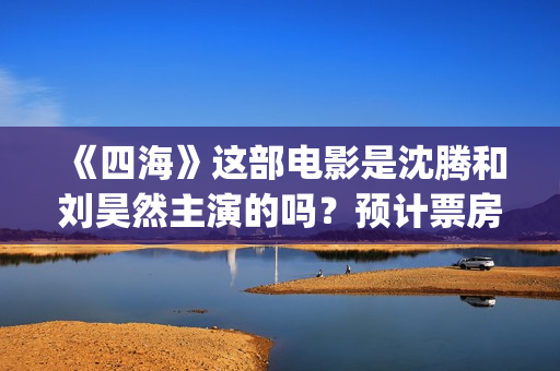 《四海》这部电影是沈腾和刘昊然主演的吗？预计票房如何？值得期待吗？(四海主演)