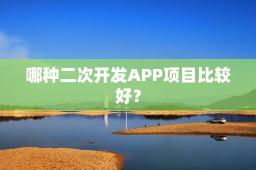 哪种二次开发APP项目比较好？