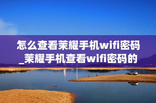怎么查看茉耀手机wifi密码_茉耀手机查看wifi密码的方法
