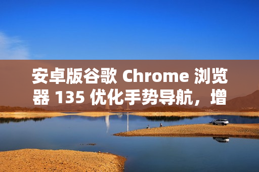 安卓版谷歌 Chrome 浏览器 135 优化手势导航，增强全屏沉浸感