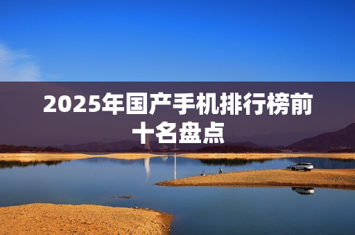 2025年国产手机排行榜前十名盘点