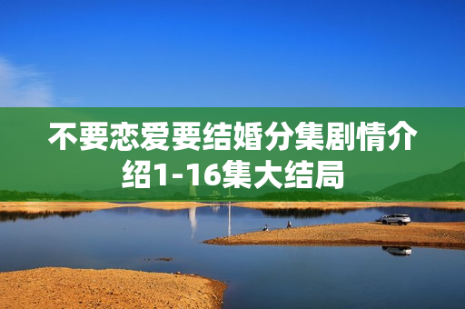不要恋爱要结婚分集剧情介绍1-16集大结局